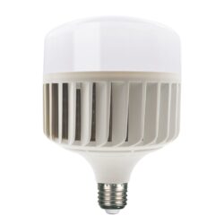 LED SMD P176 100W 6000K 10700LM 230V AC RA80 30000HRS  220° 1xE27 IP20