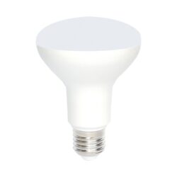 LED SMD R80 10W 6000K 230V AC 880LM RA80 30000HRS 100° 1xE27