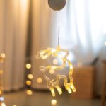 ΤΑΡΑΝΔΟΣ ΠΛΑΣΤΙΚΟΣ 10 LED  ΘΕΡΜΟ ΛΕΥΚΟ ΜΕ ΜΠΑΤΑΡΙΕΣ 3ΧΑΑΑ IP20 130X190mm