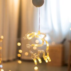ΤΑΡΑΝΔΟΣ ΠΛΑΣΤΙΚΟΣ 10 LED  ΘΕΡΜΟ ΛΕΥΚΟ ΜΕ ΜΠΑΤΑΡΙΕΣ 3ΧΑΑΑ IP20 130X190mm