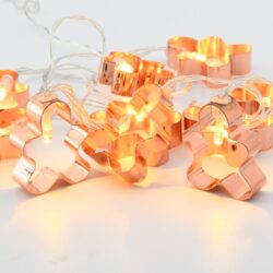 ΔΙΑΚΟΣΜΗΤΙΚΑ ΛΑΜΠΑΚΙΑ ΜΠΙΣΚΟΤΟ ΜΕΤΑΛΛΙΚΟ 10 LED ΣΕ ΣΕΙΡΑ ΘΕΡΜΟ ΛΕΥΚΟ ΜΠΑΤΑΡΙΕΣ 2xΑΑ ΜΕ ΚΑΛΩΔΙΟ ΔΙΑΦΑΝΟ 300mm IP20 1350mm