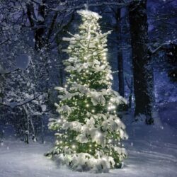 ΧΡΙΣΤΟΥΓΕΝΝΙΑΤΙΚΑ ΛΑΜΠΑΚΙΑ ΧΤΑΠΟΔΙ 10 ΣΕΙΡΕΣx35 ΛΑΜΠΑΚΙΑ ΘΕΡΜΟ ΛΕΥΚΟ ΠΡΑΣΙΝΟ ΚΑΛΩΔΙΟ 3m ΑΝΤΑΠΤΟΡΑΣ 31VDC IP44 100x3500mm