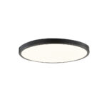 InLight Πλαφονιέρα οροφής LED 20W 3CCT (by switch on base) από μαύρο μέταλλο και ακρυλικό D:30cm (42035-D-Black)
